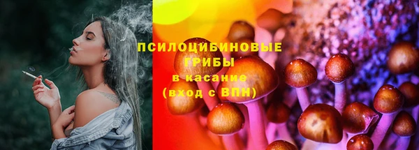 mdpv Медногорск