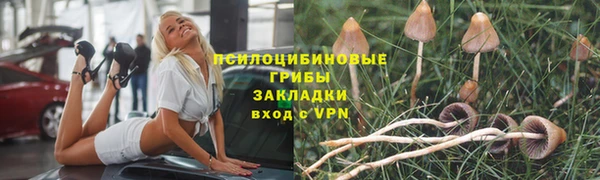марки lsd Медвежьегорск