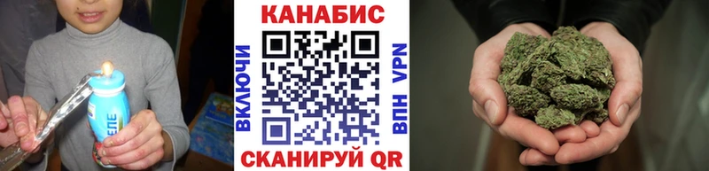 Купить  Злынка  Марихуана сатива 